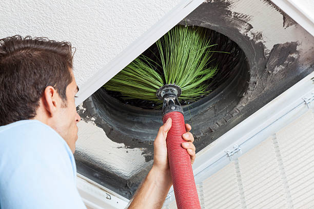 Best Air Vent Cleaning Services  in Elleale, ND